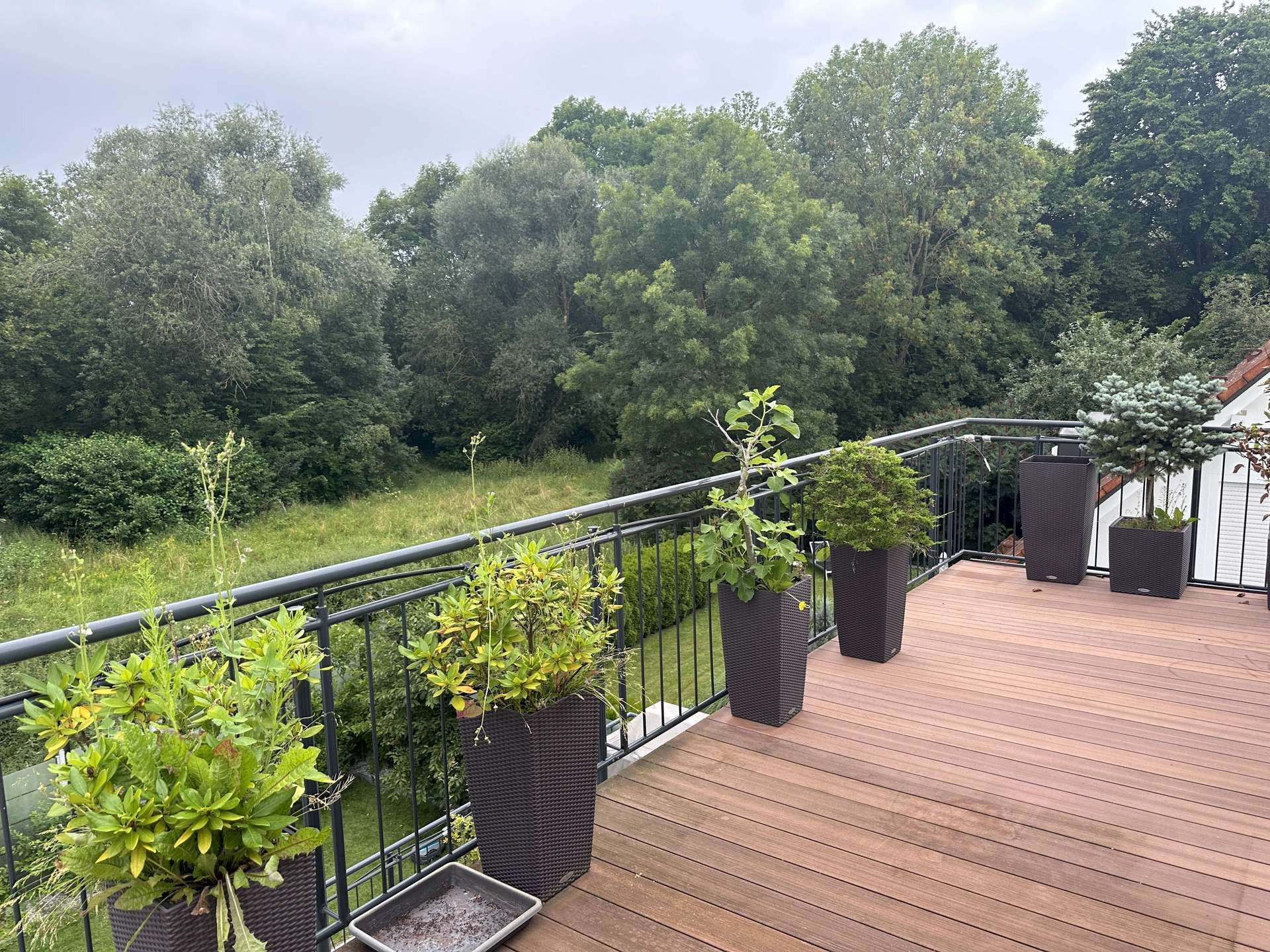 Aussicht Balkon DG