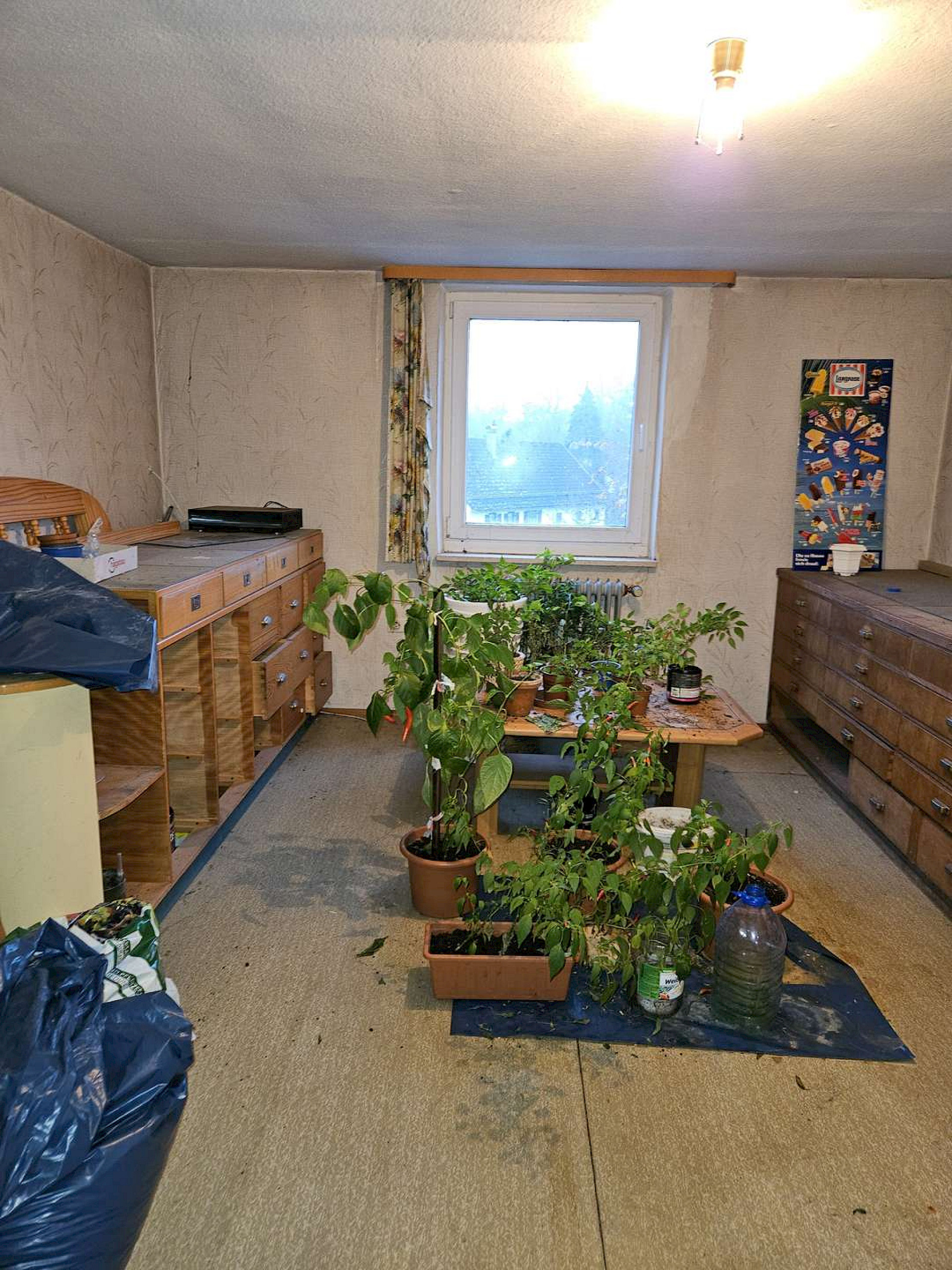 Zimmer im Dachgeschoss